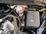 IMG_20171103_095206647.jpg